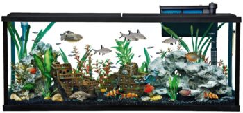 Top Fin 10-Gal Aquarium Starter Kit