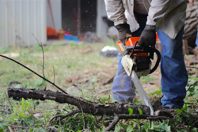 Elevate Your Outdoor Maintenance Game with These Top Power Tools